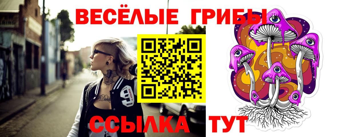 Псилоцибиновые грибы мицелий Назрань