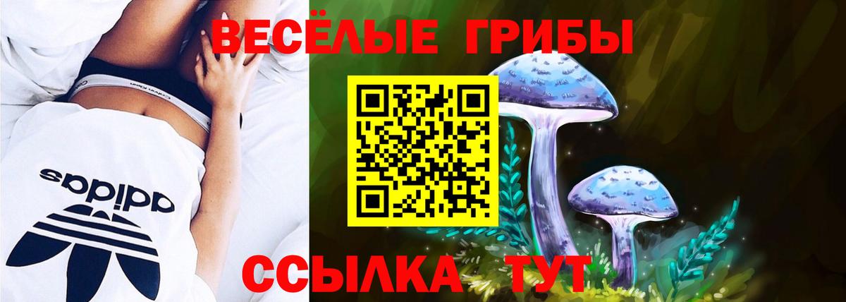 Назрань  Галлюциногенные грибы ЛСД  Вход с VPN  Галлюциногенные грибы Magic Shrooms 